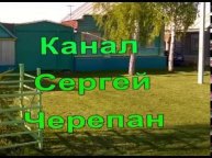 Кооперация в пчеловодстве.Гусев К