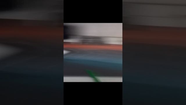 милый котик
