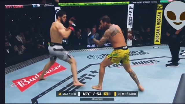 UFC 311 Ислам Махачев VS Ренато Мойкано полный бой