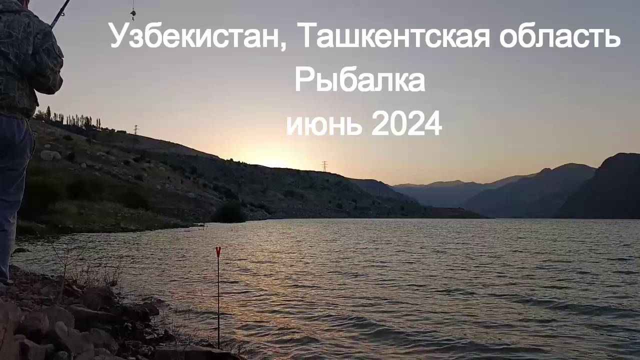 Узбекистан. Ташкентская область. Рыбалка на сазана, 2024