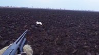 6 ВЫСТРЕЛОВ ПО ЧЕРВИВОМУ ЗАЙЦУ !!!!