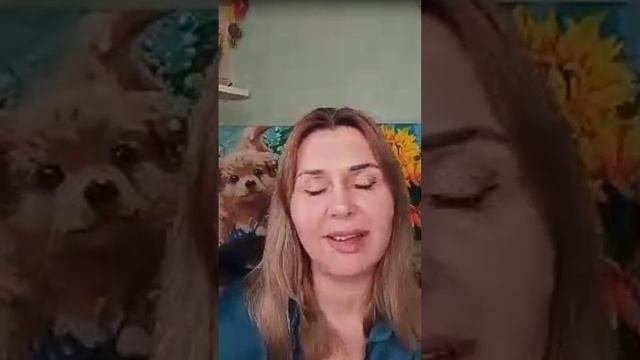 планерка.mp4