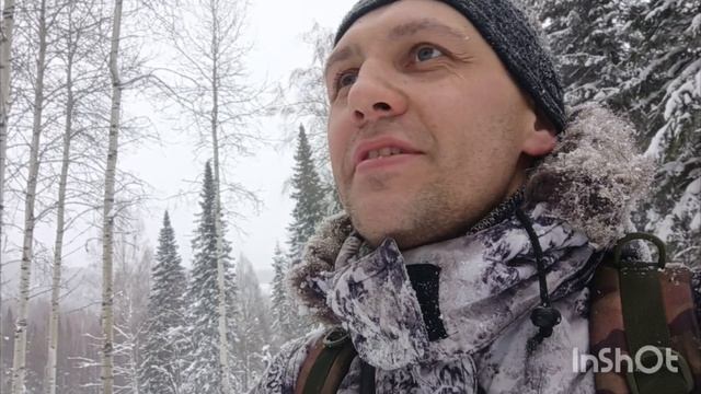 Попал в пургу , тайга
