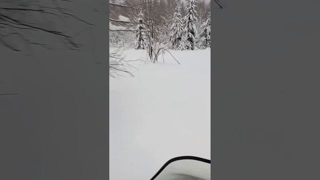 Снегоход Атлас 500...по целине