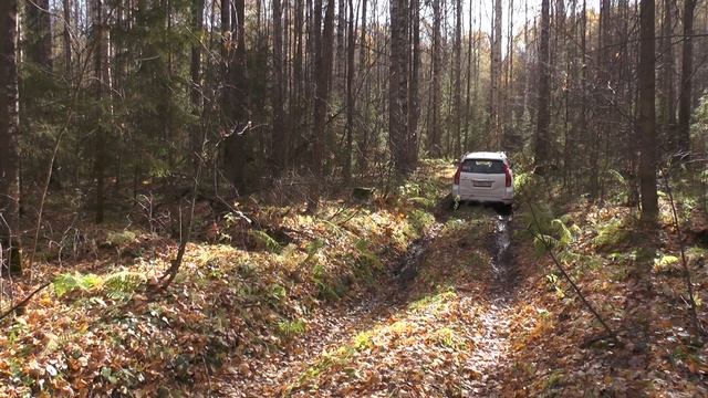 В поисках золота: Экспедиция на внедорожниках по Удмуртии. Урочище Ириньга и тайна „Тени Алангасара“