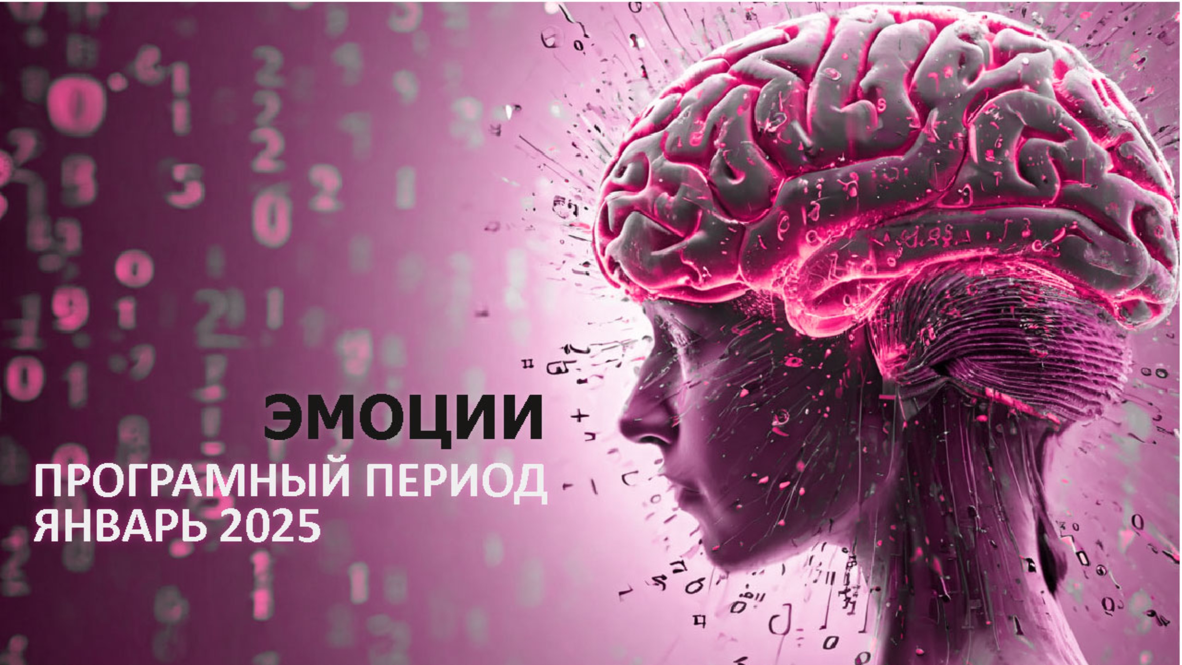 Январь. Программный период. Что это значит, какими эмоциями сопровождается и что важно делать?