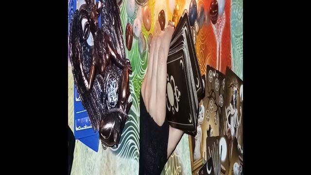 Анатолий и Михаела