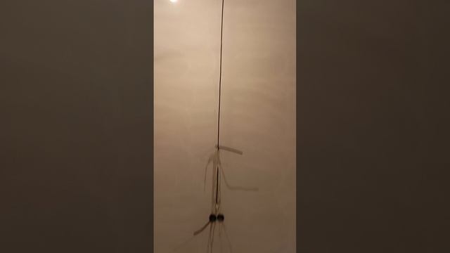 смарт полёт 8 квартира