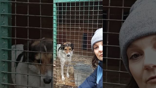 Чем помочь