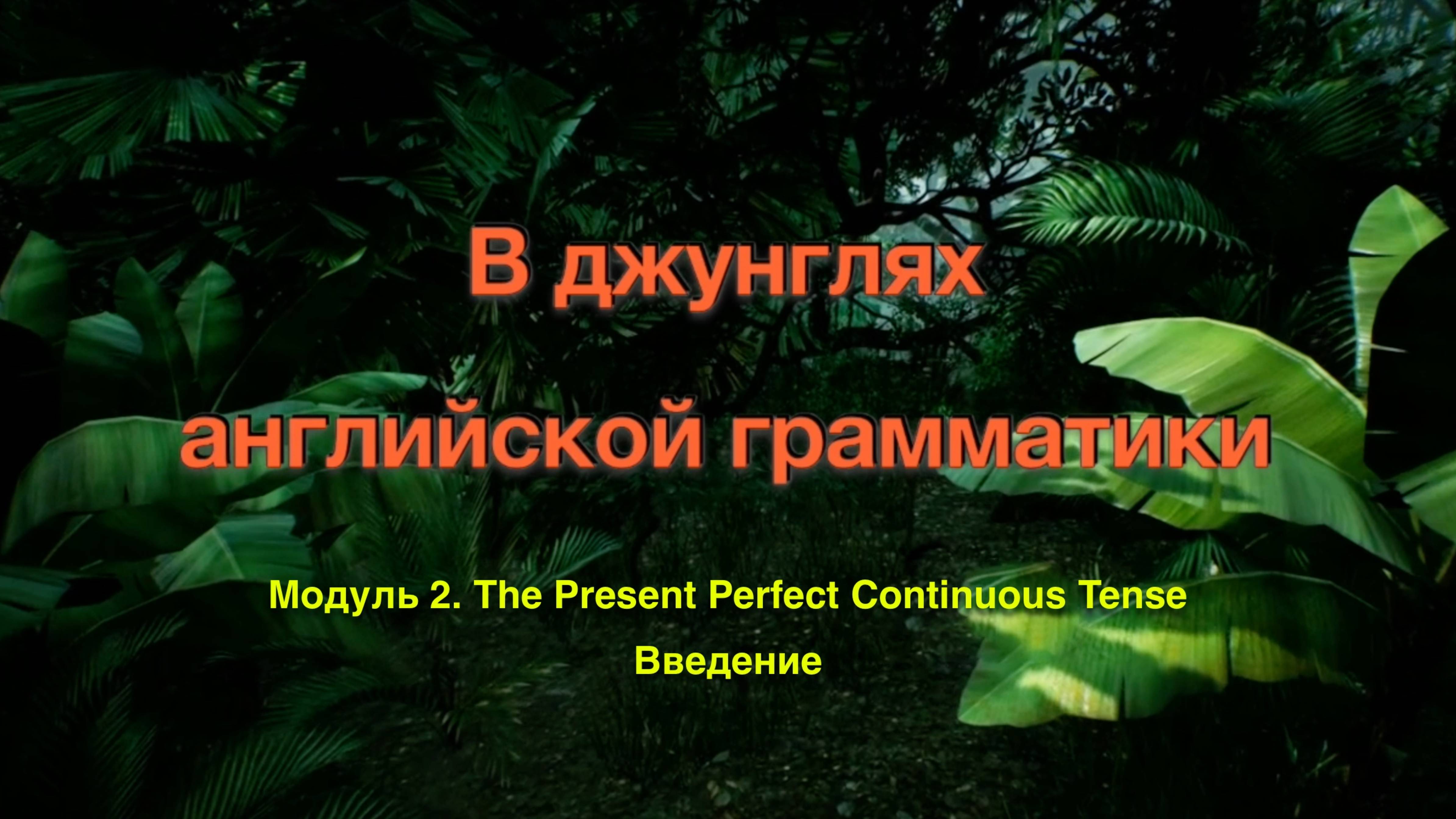 Джунгли 2. Введение