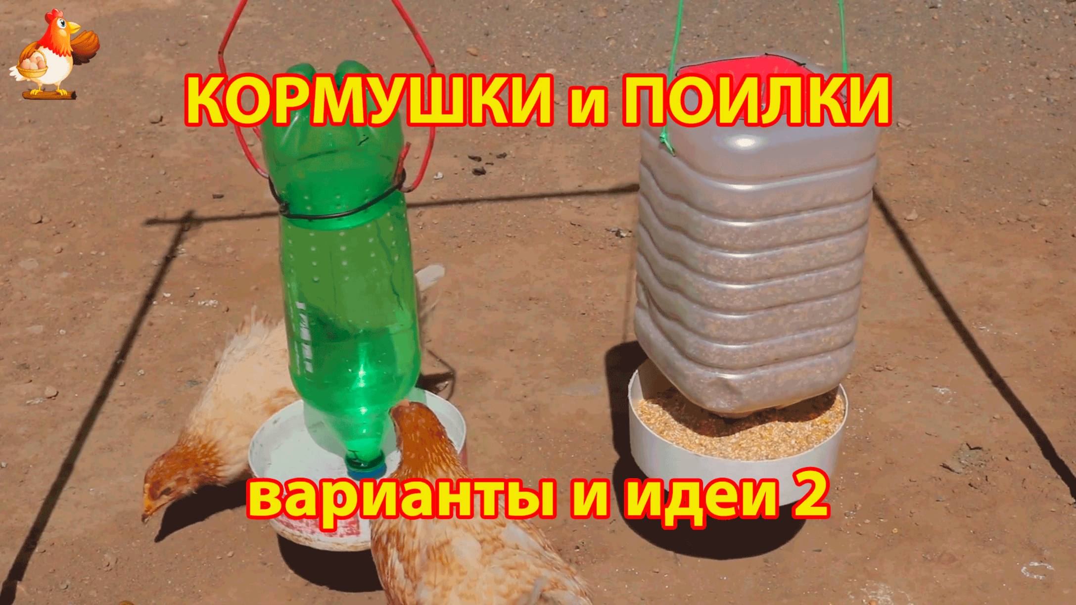 Кормушки и поилки для кур своими руками (2) 🪚🪛🔨 Пошаговая инструкция как сделать 🐓