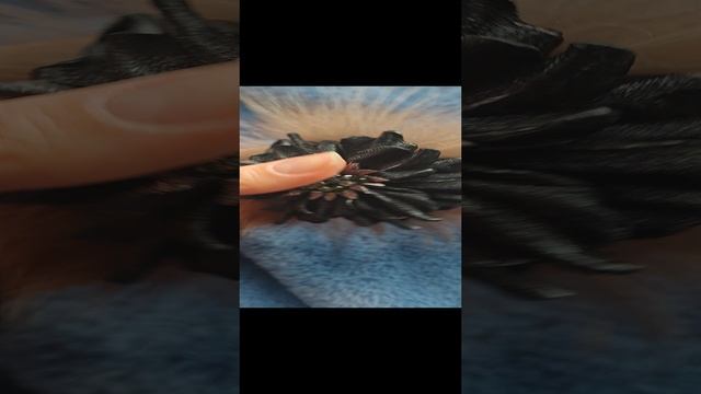 Брошь