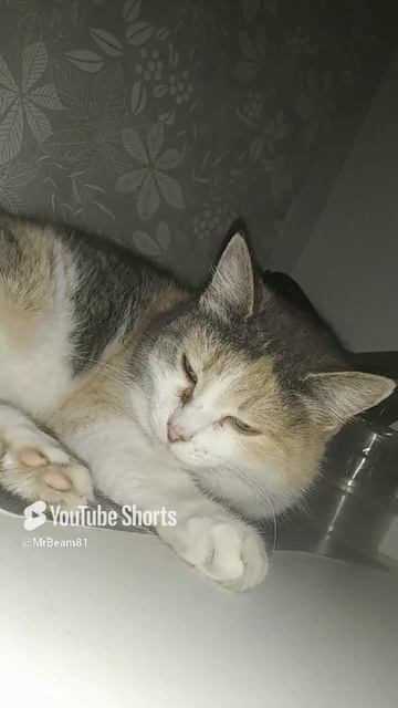 Всем кто ждёт.mp4