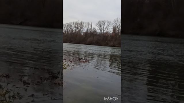 Январский спиннинг.mp4