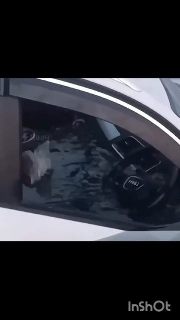 утопили авто а приморье