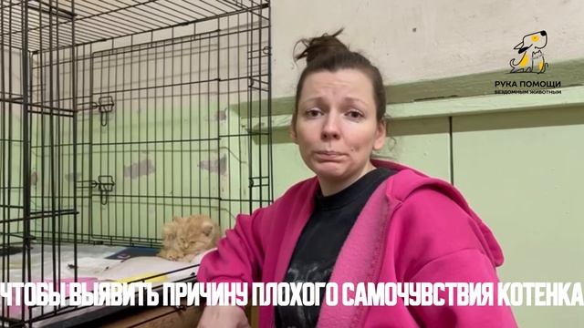 Продолжается череда неприятностей Дэвиса. Поддержать⬇️