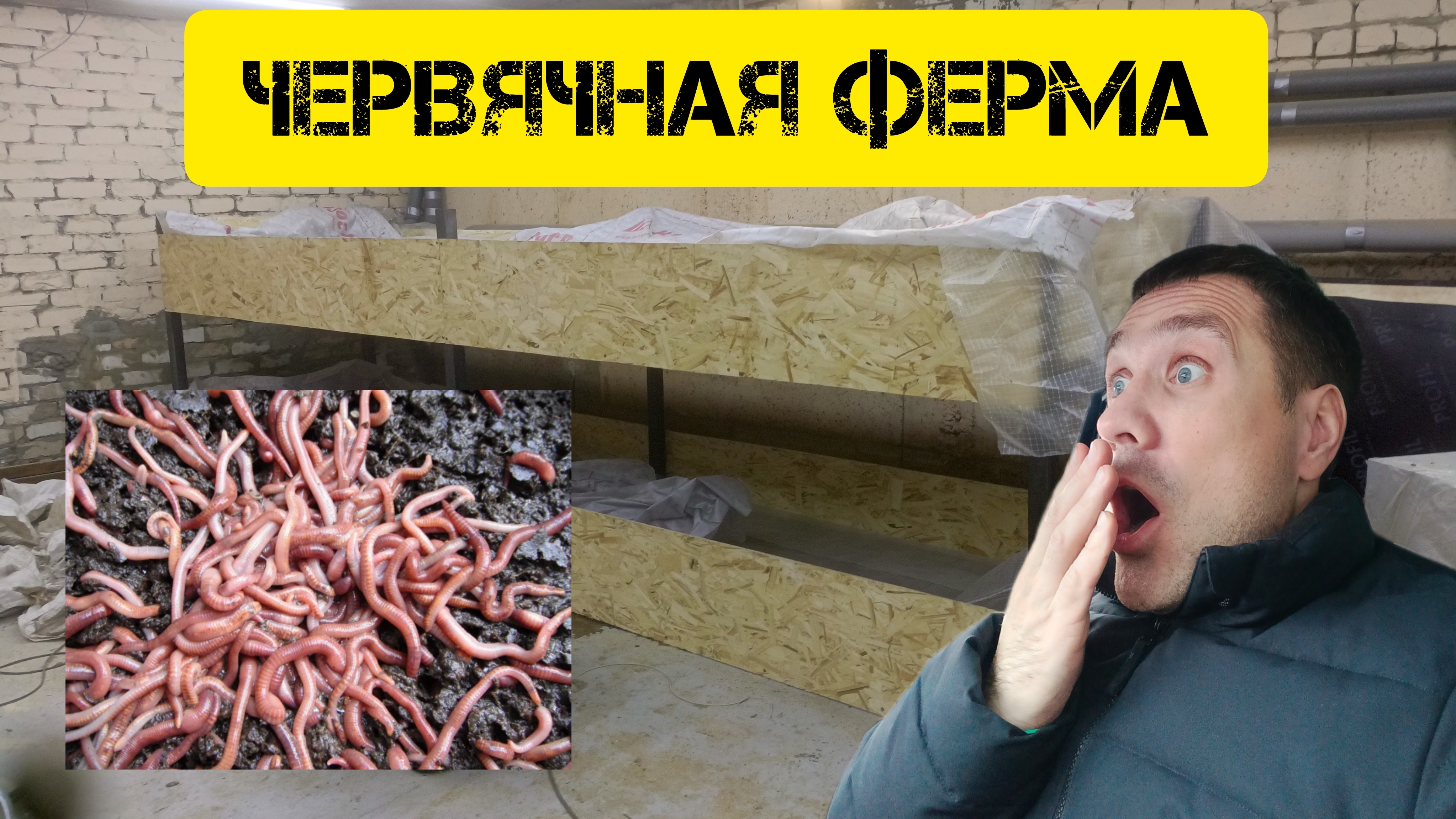 Червячная ферма. Проверяем у поставщика червей, червя😁
