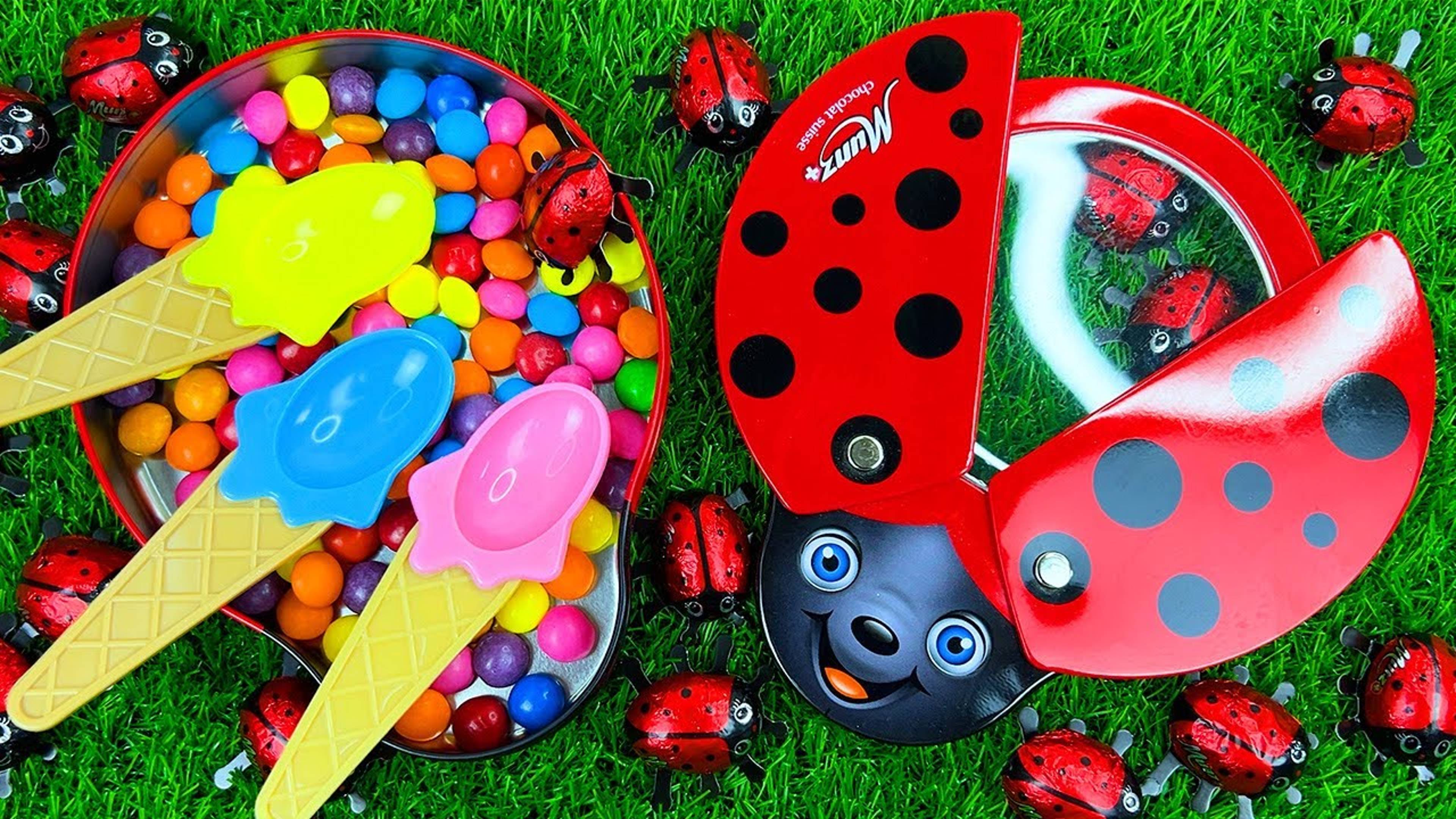 InShot_20250120_223731399