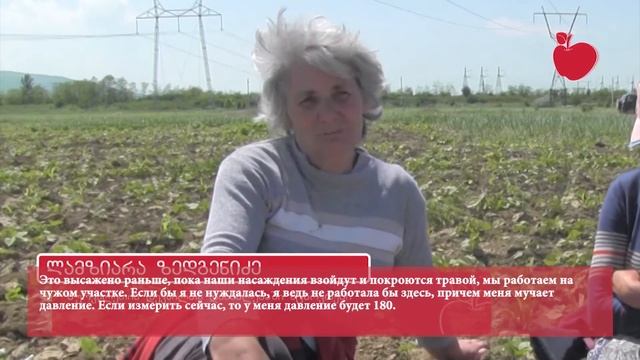 Поденная работа за 25 лари – Хурвалетский поселок беженцев