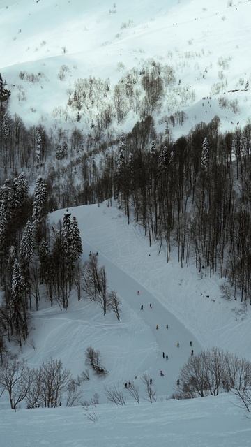 7166193-uhd_2160_3840_24fps