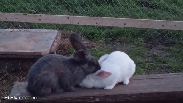 VID_20241012_182239