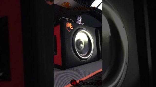 Звучание Сабвуфера DL Audio Piranha 15A Black V.2 в БМВ х5