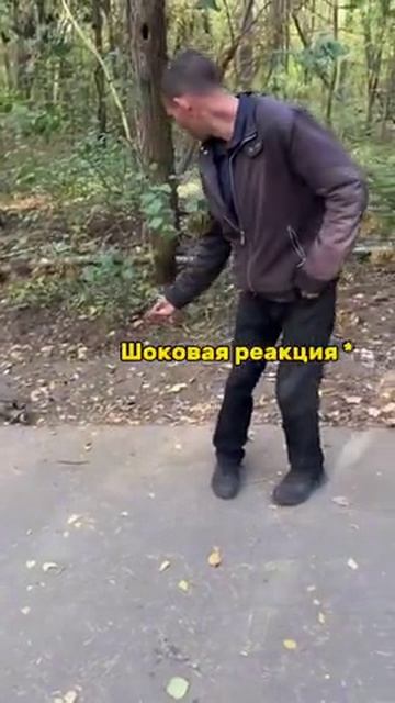 белочка
