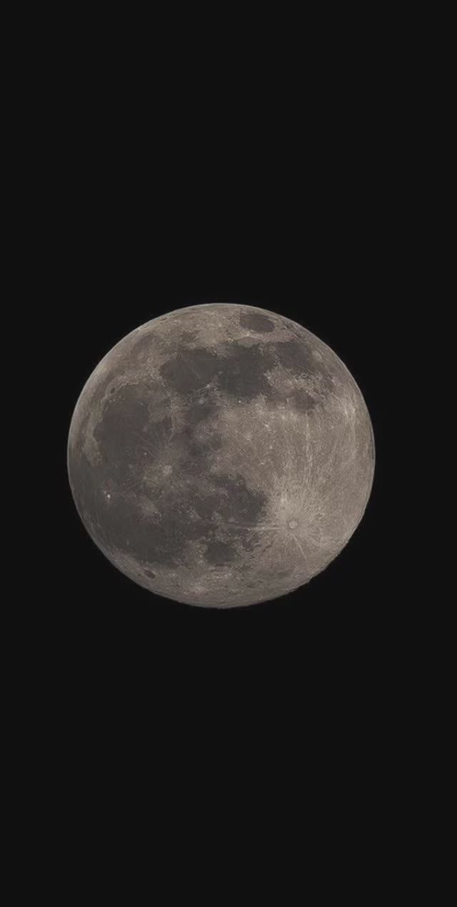 Nasheed 54