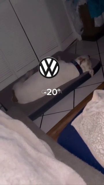 реклама, ха-ха-ха-ха!