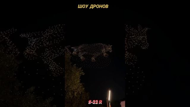 шоу дронов