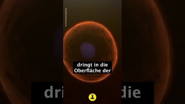 УКУС или ЯД ПЧЕЛЫ ИСЦЕЛЯЕТ ОТ РАКА????