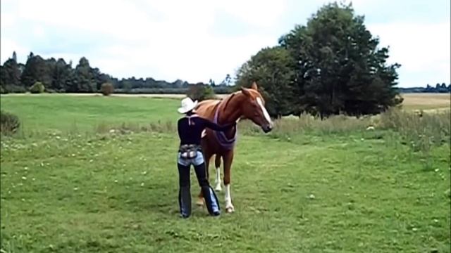 Online Natural Horsemanship Contest: Marija and Bailey