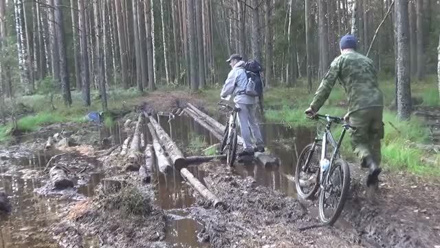 Велопокатушки на Оларёвской гряде (Вологда, октябрь 20017)