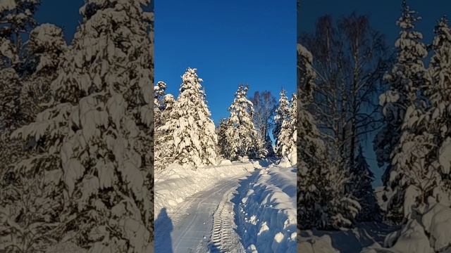 Ледопады и водопады под Выборгом