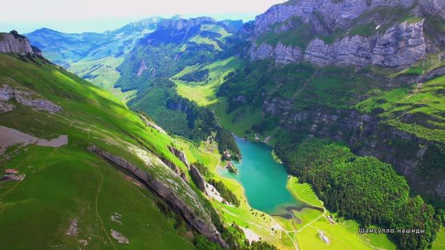 Коран Аль-Анбия видео 4к Миншави -Minshawiy