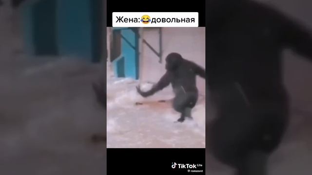1000008963.mp4