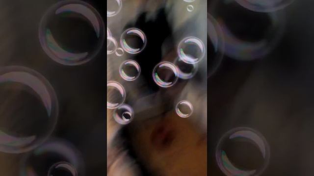 Гимнастичная Соня