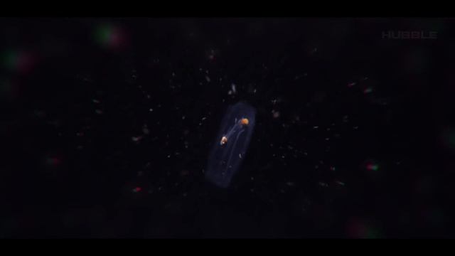 Учёные Озадачены! Уникальные Реальные Кадры Жизни на Спутниках Юпитера?