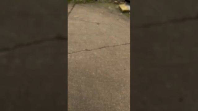 Hikvision ColorVu kamerasi, Tunda ham kunduzgiday tasvir. Kechasi ham rangli oluvchi kamera #cctv