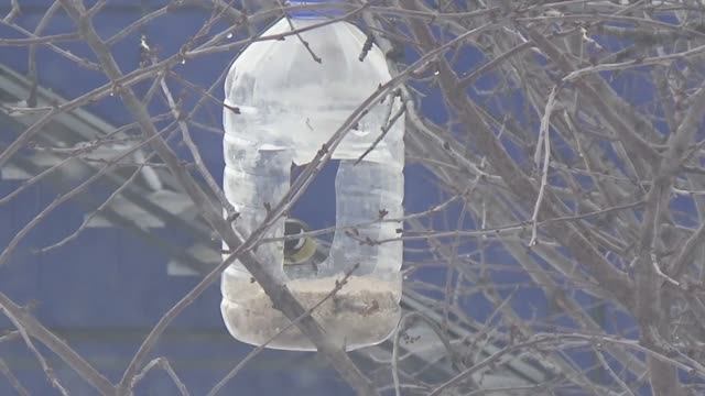 Самодельный скворечник из пластиковой бутыли