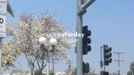 finals week vlog: studying for exams, days on campus, coffee shops, stationery pal haul