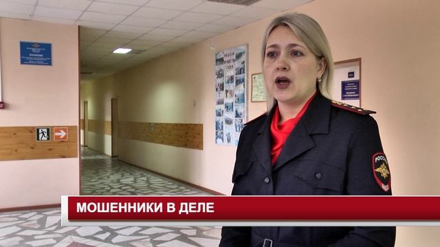 МОШЕННИКИ В ДЕЛЕ