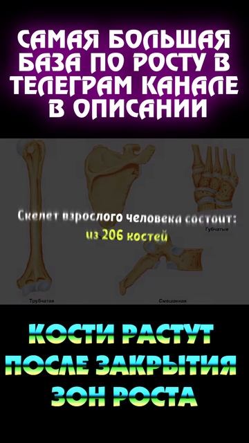 Кости растут в любом возрасте