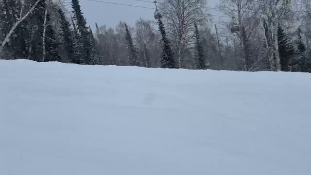 25/75 snowscoot 2024 Шерегеш