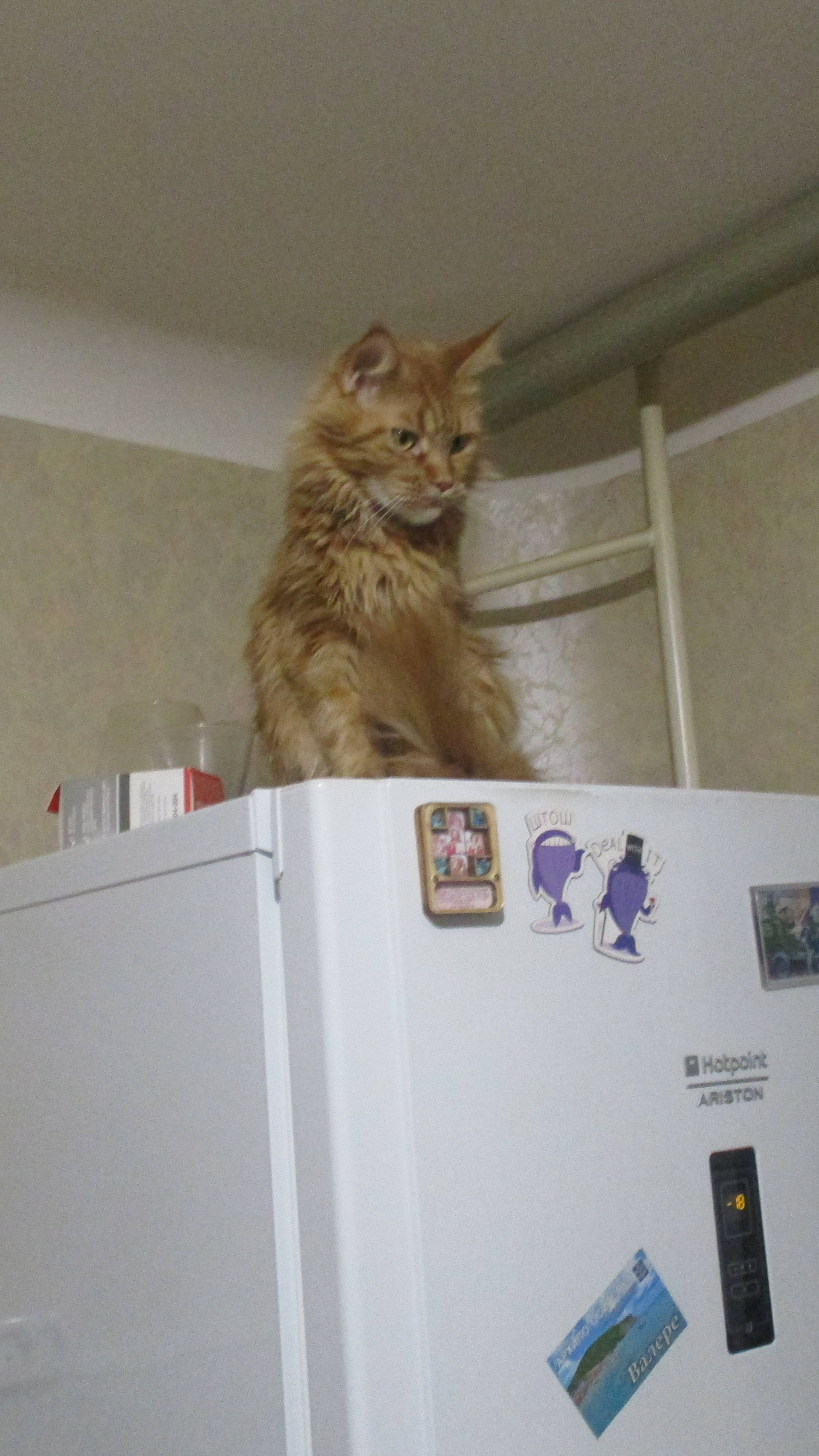 убежище
