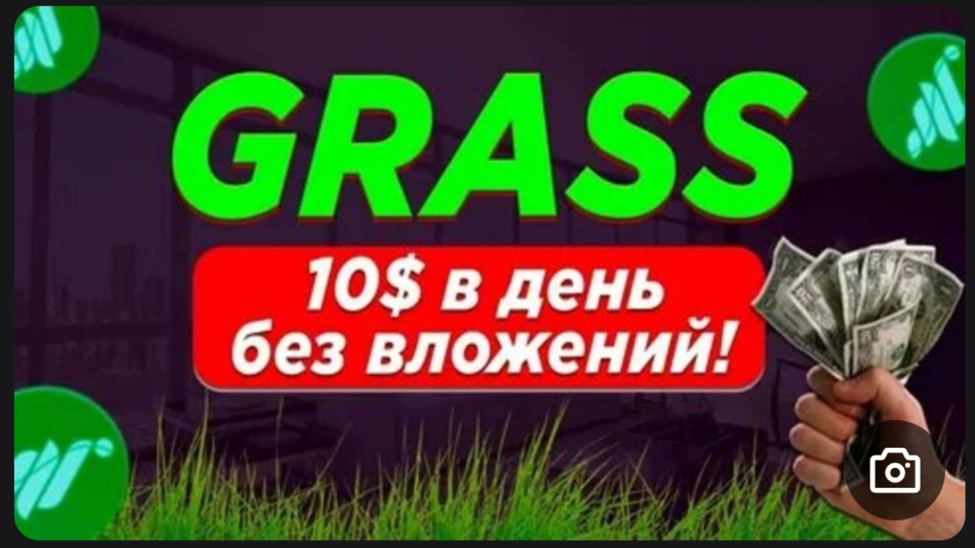 Код grass:  hO6X8PH6KdXuw6Z  Grass code: hO6X8PH6KdXuw6Z