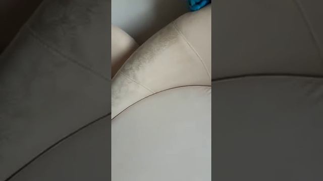 Химчистка дивана с обивкой Алькантара