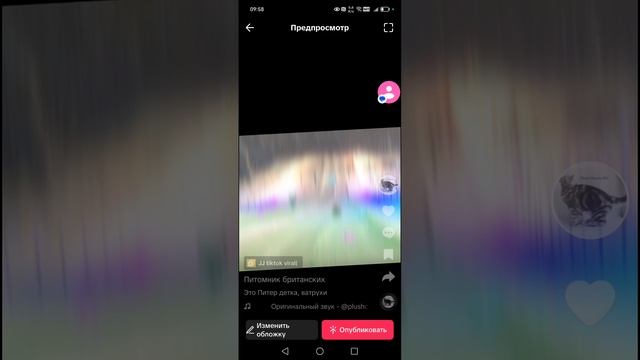 Это Питер детка, ватрухи, тюбинги