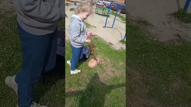 Я на прогулке с Кроликом