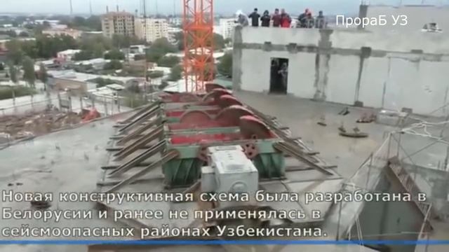 Умный пёс.  Самое интересное в YouTube!